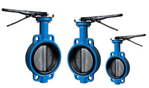 CAST IRON   CI   VALVES DEALERS IN KOLKATA